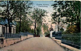 Central Avenue circ 1906 - Produced for Peddie & Co., Stationers Cambuslang - Reliabale Series No 181/62