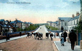 Greenlees Road circa 1906 - Produced for Peddie & Co., Stationers Cambuslang - Reliable Series No 181/7